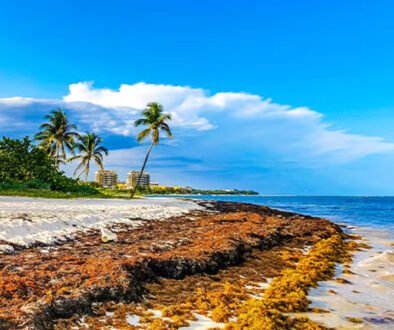 cUay9Td1-Gardiner_HERO copy