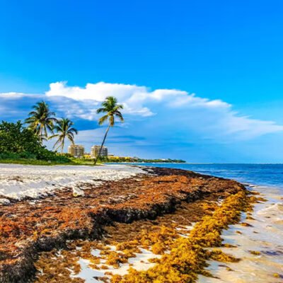 cUay9Td1-Gardiner_HERO copy